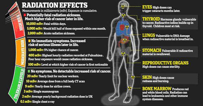 Nuclear-Radiation-Effects-chart-4-post